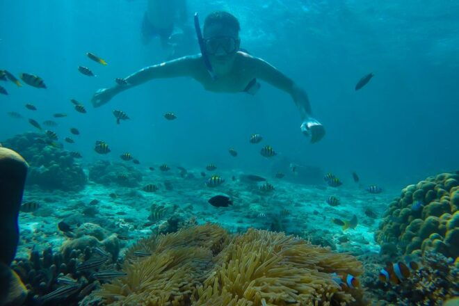 From Phuket: Phi Phi, Maya, Bamboo, & Maiton Island Day Trip - Itinerary Highlights