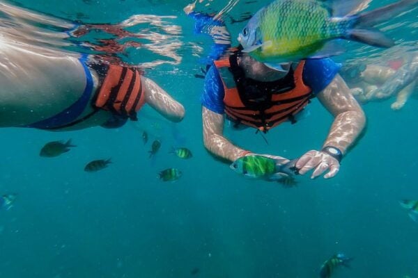 From Phuket: Phi Phi, Maya, Bamboo, & Maiton Island Day Trip - The Sum Up