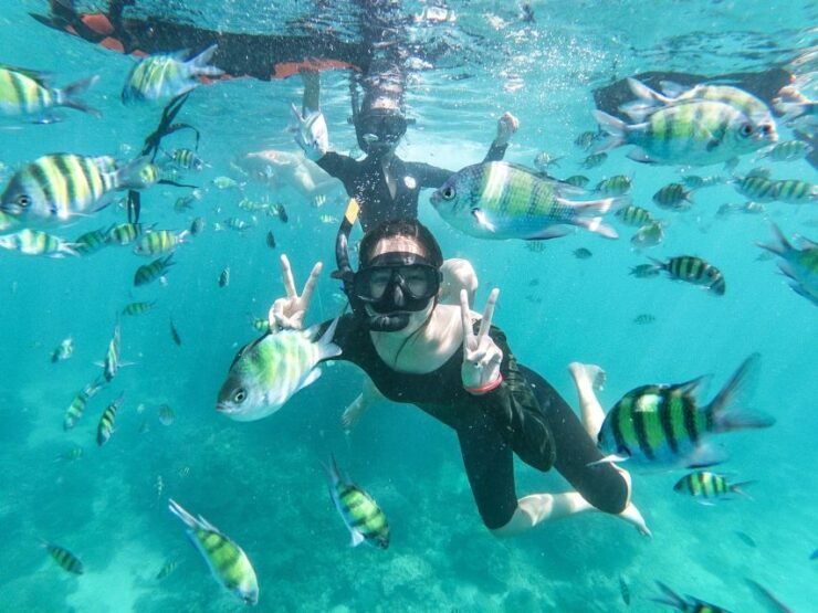 From Phuket: Phi Phi Viewpoint, Mai Ton & Khai Island Tour - Tour Details