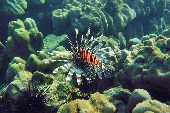 From Phuket Premium Phi Phi, Maya, Khai Islands (BreakfastLunch) - Cancellation and Refund Policy