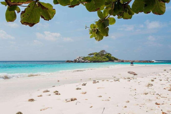 From Phuket: Racha & Maiton Island Dolphin Expedition - Customer Reviews