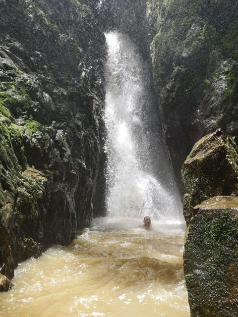 From Phuket: Rainforest and Waterfall Hiking Experience - Activity Details
