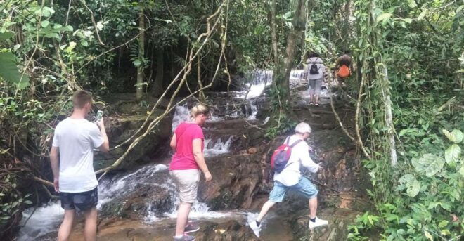 From Phuket: Rainforest and Waterfall Hiking Experience - The Sum Up