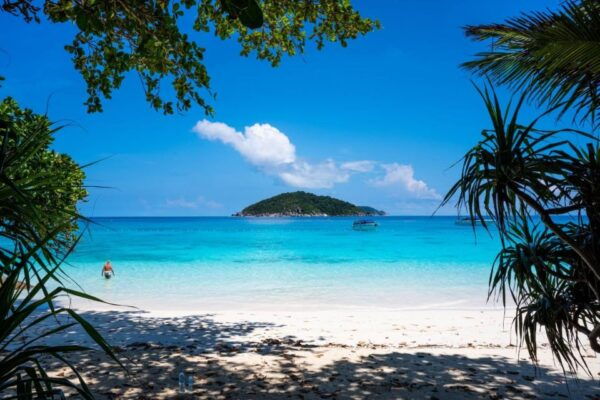 From Phuket: Similan Islands Day Trip - Reserve Now, Pay Later