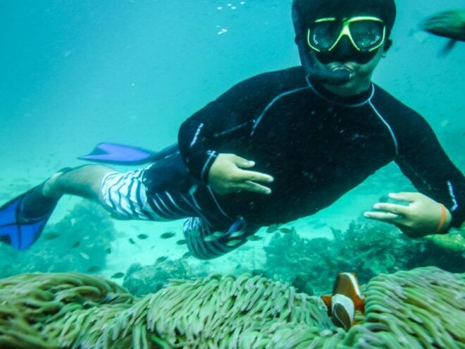 From Phuket: Similan Islands Full-Day Boat Trip - Experience Highlights