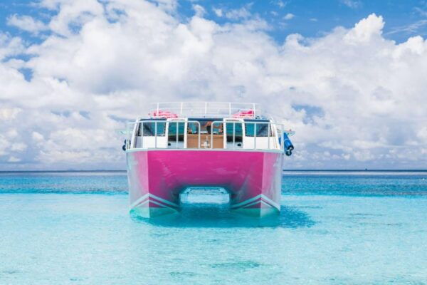 From Phuket: Similan Islands Luxury Trip by Speed Catamaran - Common Questions