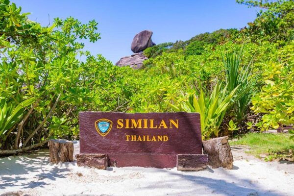 From Phuket: Similan Islands Snorkeling Trip by Speedboat - Common Questions