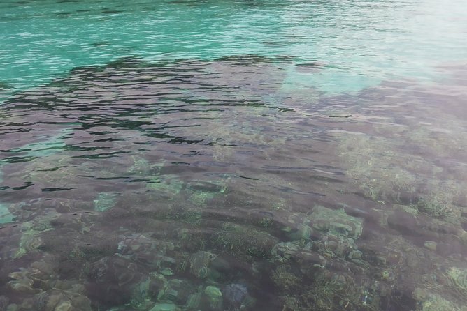 From Phuket: Surin Island Snorkeling Tour - Common Questions