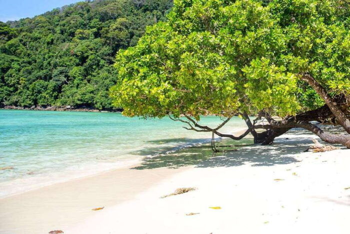 From Phuket: Surin Islands Snorkeling Trip - The Moken Community Visit
