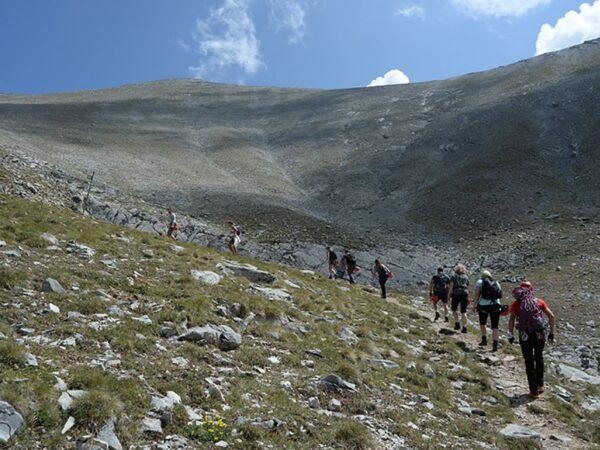 From Pieria: Olympus Mountain Guided Hike With Transfers - Common Questions