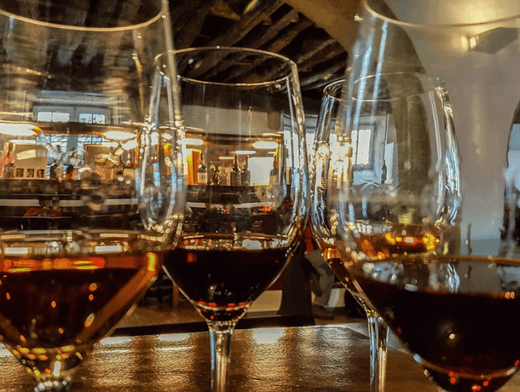 From Pinhão: Douro Valley Tour w/ Wine Tasting and Boat Trip - Final Thoughts: Who Will Love This Tour?