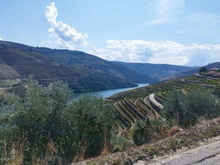 From Pinhão: Douro Valley Tour w/ Wine Tasting and Boat Trip - FAQs