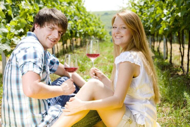 From Pisa or Lucca: Half-Day Tuscany Chianti Wine Tasting - Wine Tasting Experience