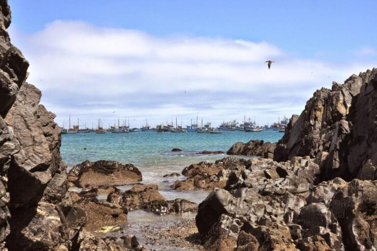 From Piura Full Day Excursion to Paita and Colán - Highlights of the Tour