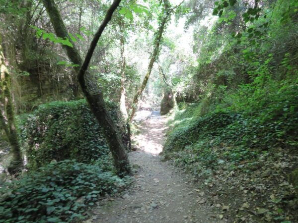 From Platanias: Guided Mountain Half Day Trip With Snack! - Recommended Packing List