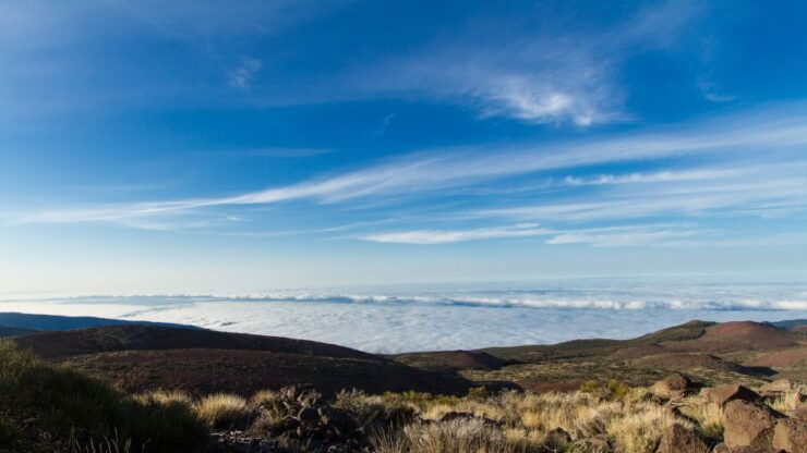 From Playa De Las Américas: Full-Day Teide Jeep Safari - Booking Details