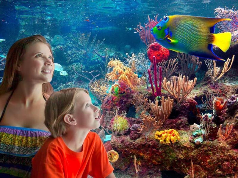 From Playa del Carmen: Complete Combo to Xcaret Park! - Why This Experience Offers Great Value