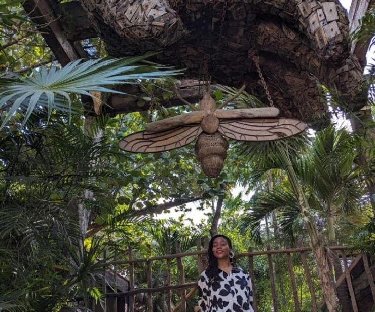 From Playa Del Carmen: Instagram Guided Tour of Tulum - Tour Highlights