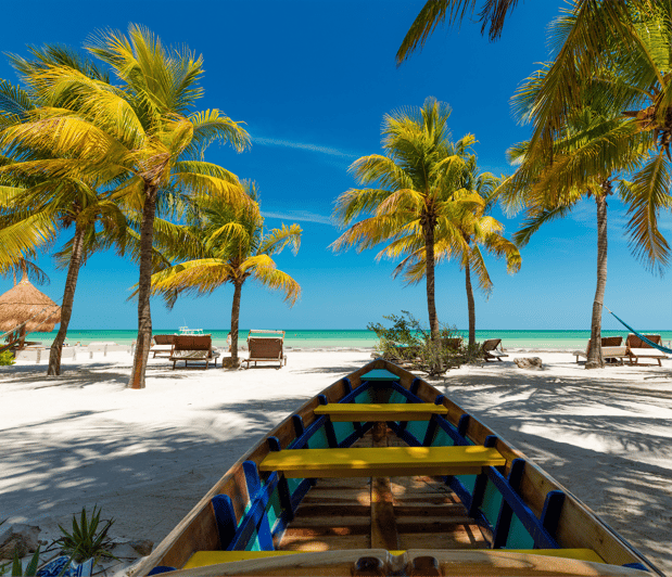 From Playa Del Carmen: One Way Shared Transfer to Holbox - Experience Highlights