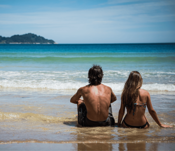 From Playa Del Carmen: One Way Shared Transfer to Holbox - Booking and Availability