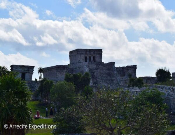 From Playa Del Carmen: Tulum Coba and Cenote - Tulum Ruins