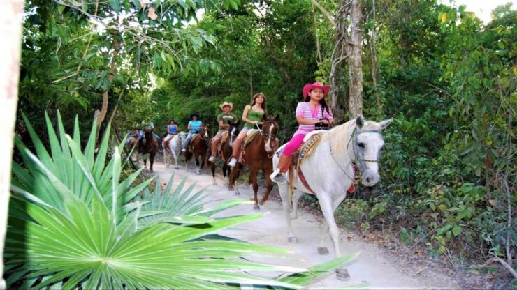 From Playa Del Carmen/Tulum: Maya Adrenaline Park Tour - Activity Details
