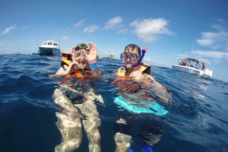 From Playa Del Carmen: Whale Shark Tour - Good To Know