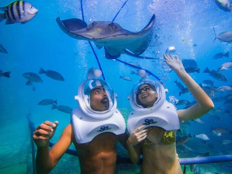 From Playa del Carmen: Xcaret Plus Park, the complete experience - FAQ