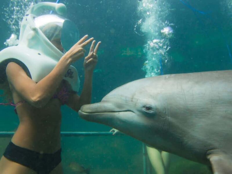 From Playa del Carmen: Xel-Há All-Inclusive Park - Final Words