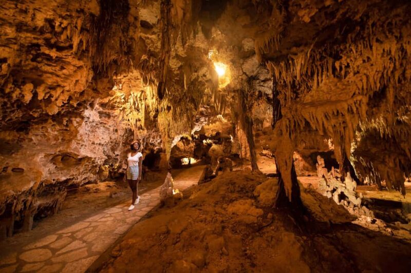 From Playa del Carmen: Xplor Park Admission, Full Day - Final Thoughts