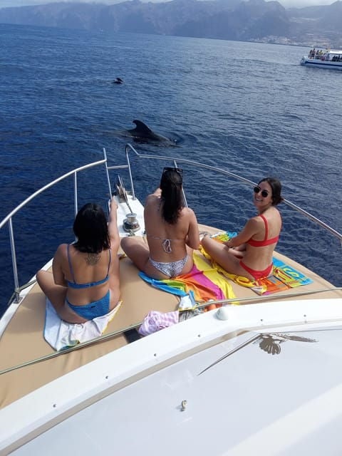 From Playa San Juan: Whale Watching, Gigantes, and Masca Bay - Volcanic Formations and Coastal Views