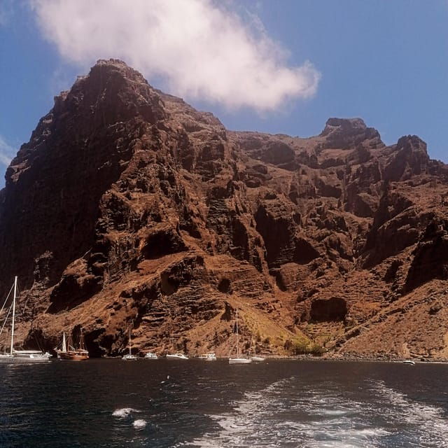 From Playa San Juan: Whale Watching, Gigantes, and Masca Bay - Included Amenities and Customer Reviews