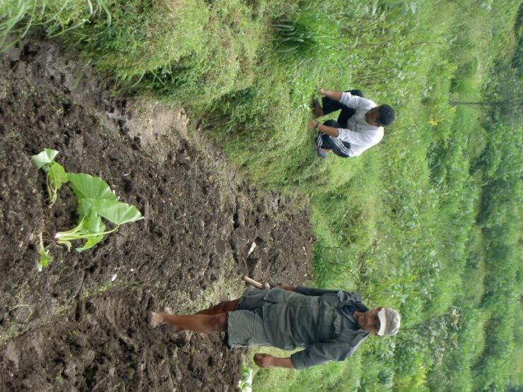 From Pokhara: 2-Day Agro-Resort Tour - Experience Highlights
