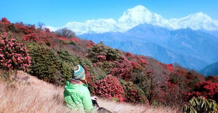 From Pokhara: 2-Day Ghorepani Poon Hill Trek (All Inclusive) - Booking and Cancellation