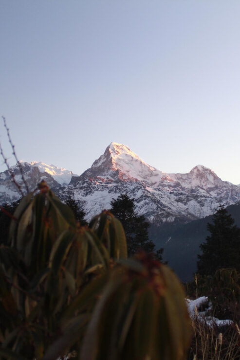 From Pokhara: 2 Day Poon Hill Himalayan Experience Trek - Key Points