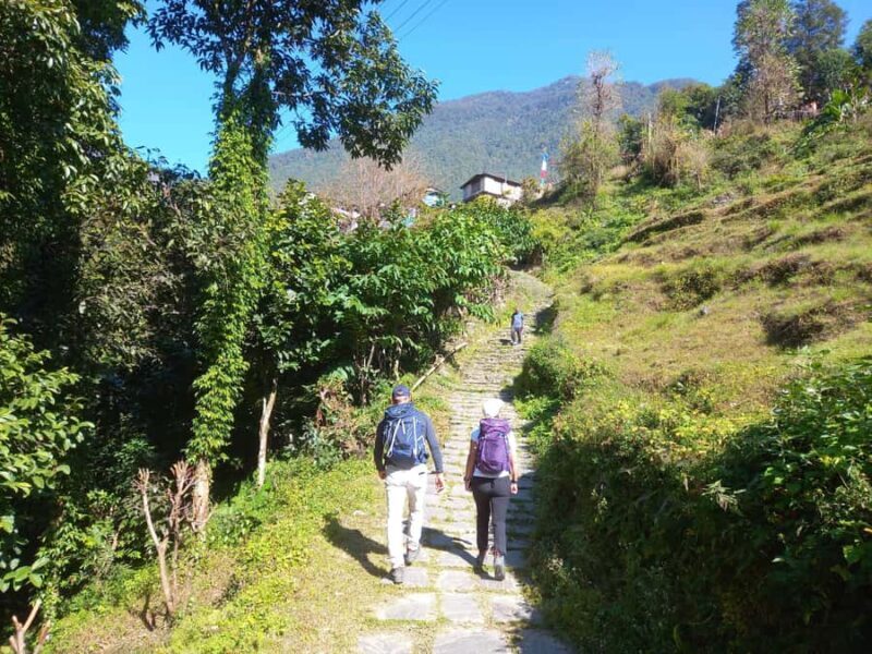 From Pokhara: 2-Day Poon Hill Trek with Sunrise View - Introduction