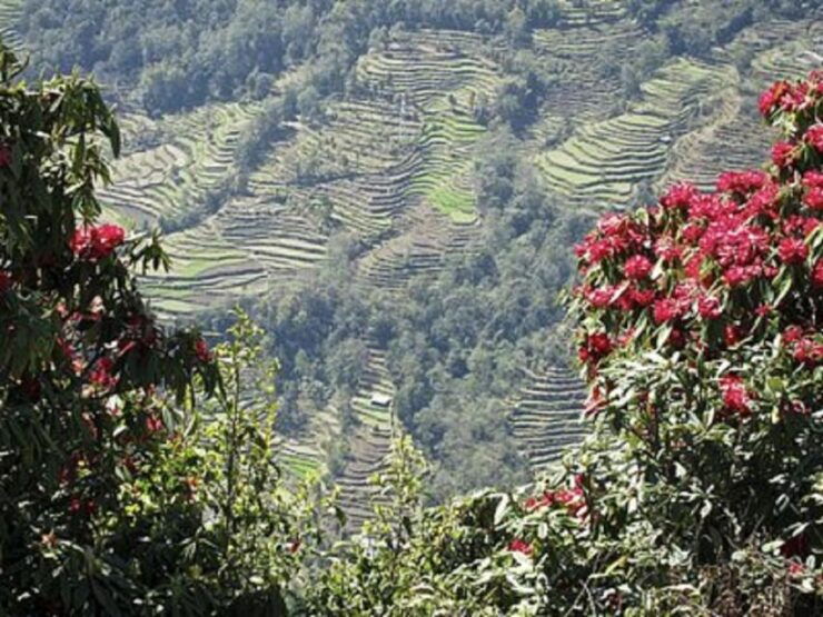 From Pokhara: 2-Day Scenic Australian Camp Trek - Experience