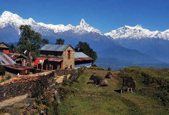 From Pokhara : 2-Days Private Trek to Panchase Hill - Experience Highlights