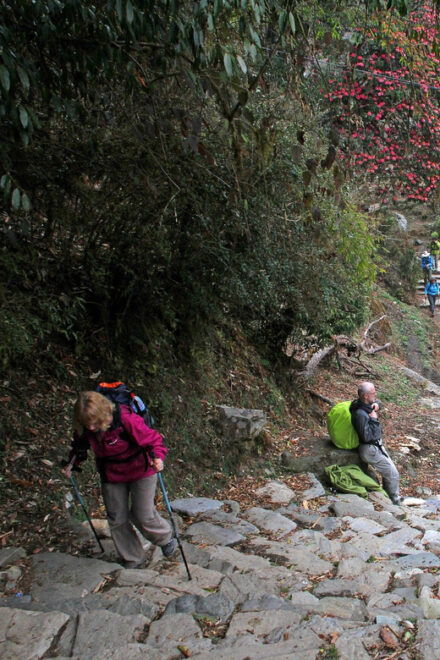 From Pokhara: 2 Days Short Poonhill Trek - Questions You May Have