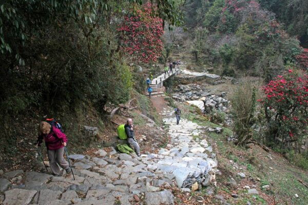 From Pokhara: 2 Days Short Poonhill Trek - Break Down