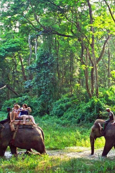 From Pokhara: 2 Night 3 Day Chitwan Wildlife Jungle Tour - Break Down