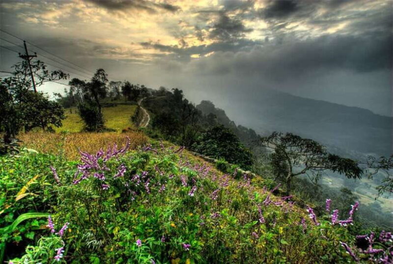 From Pokhara: 3 Day Dhampus-Sarangkot Trek - Introduction