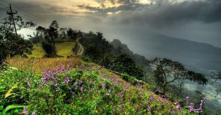 From Pokhara: 3-Day Dhampus-Sarangkot Trek - Experience