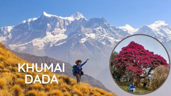 From Pokhara: 3 Day Great Machhapuchhre Trail (GMT) Trek - Day 1: Trekking to Hile Kharka