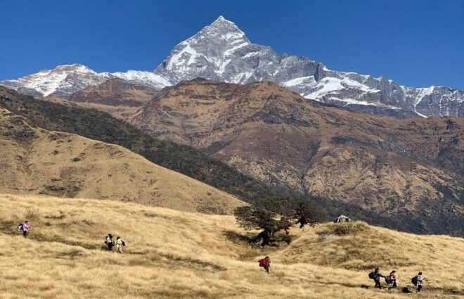 From Pokhara: 3 Day Great Machhapuchhre Trail (GMT) Trek - Day 3: Return Journey