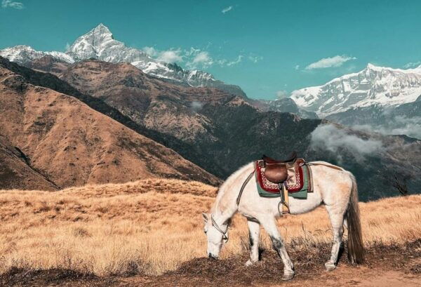 From Pokhara: 3 Day Great Machhapuchhre Trail (GMT) Trek - Packing Tips and Important Information