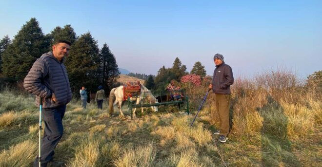 From Pokhara: 3 Day Short Poon Hill With Thapla Danda Trek - Daily Itinerary