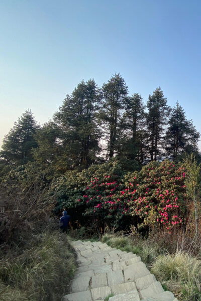 From Pokhara: 3 Day Short Poon Hill With Thapla Danda Trek - Weather Considerations