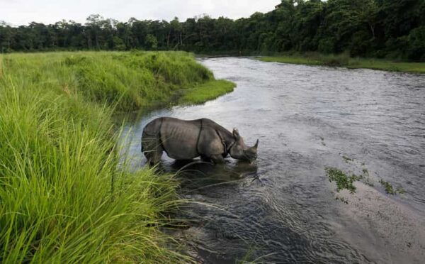 From Pokhara: 3-Days Chitwan Safari Tour With Hotel Transfer - Important Travel Information