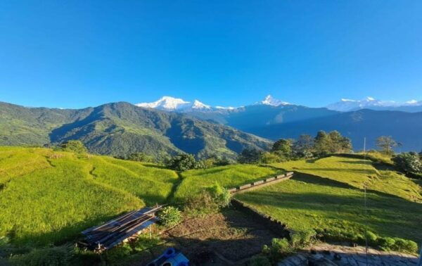 From Pokhara : 3 Days Easy Trek in Himalayan Foothill - Inclusions and Amenities